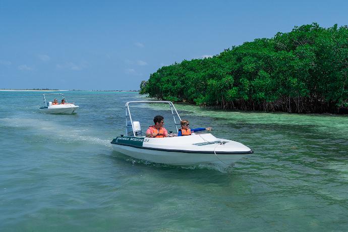 Speedboat Tour
