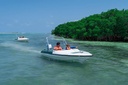 Speedboat Tour